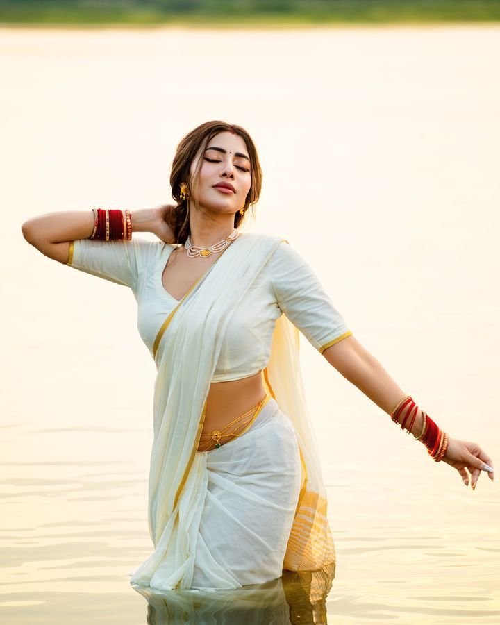 Best Long Saree Captions For Instagram Post