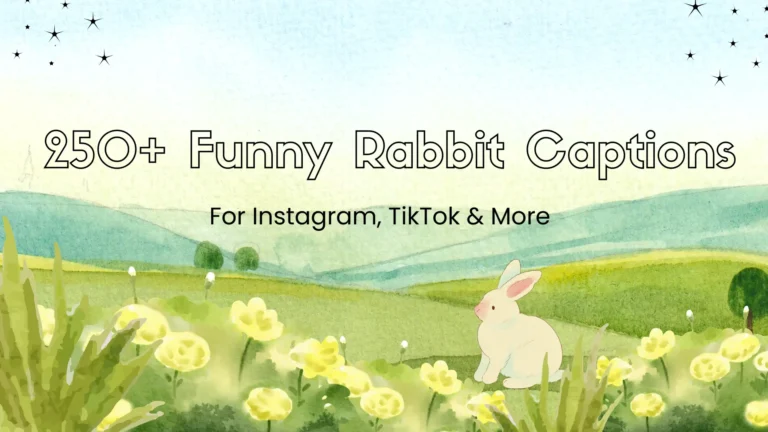funny rabbit captions