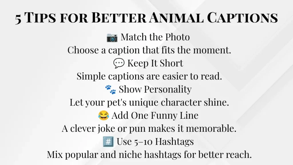 Tips for Writing Better Animal Captions