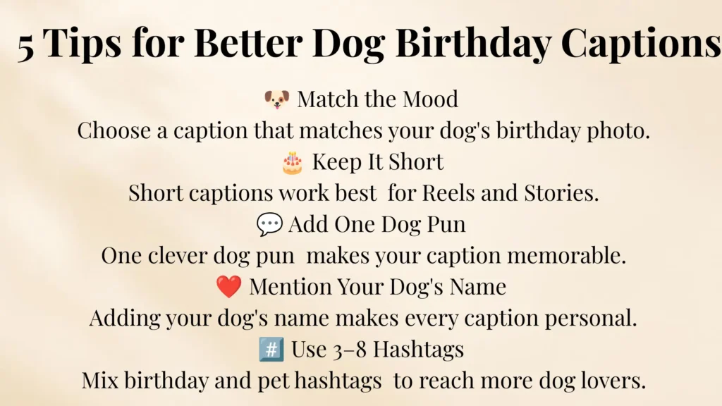 Tips for Choosing the Perfect Dog Birthday Caption