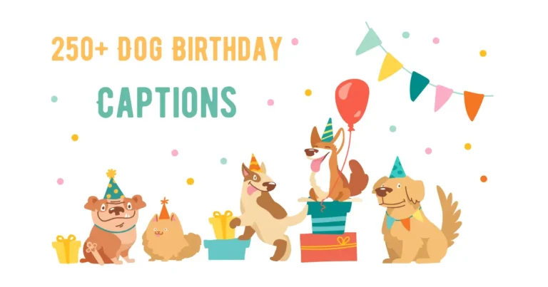 dog birthday captions