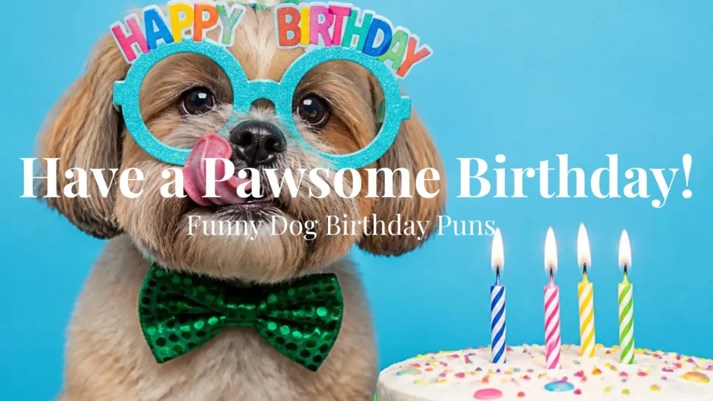 Dog Birthday Captions with Puns