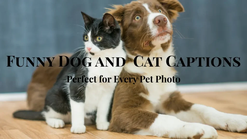 Funny Family Captions
