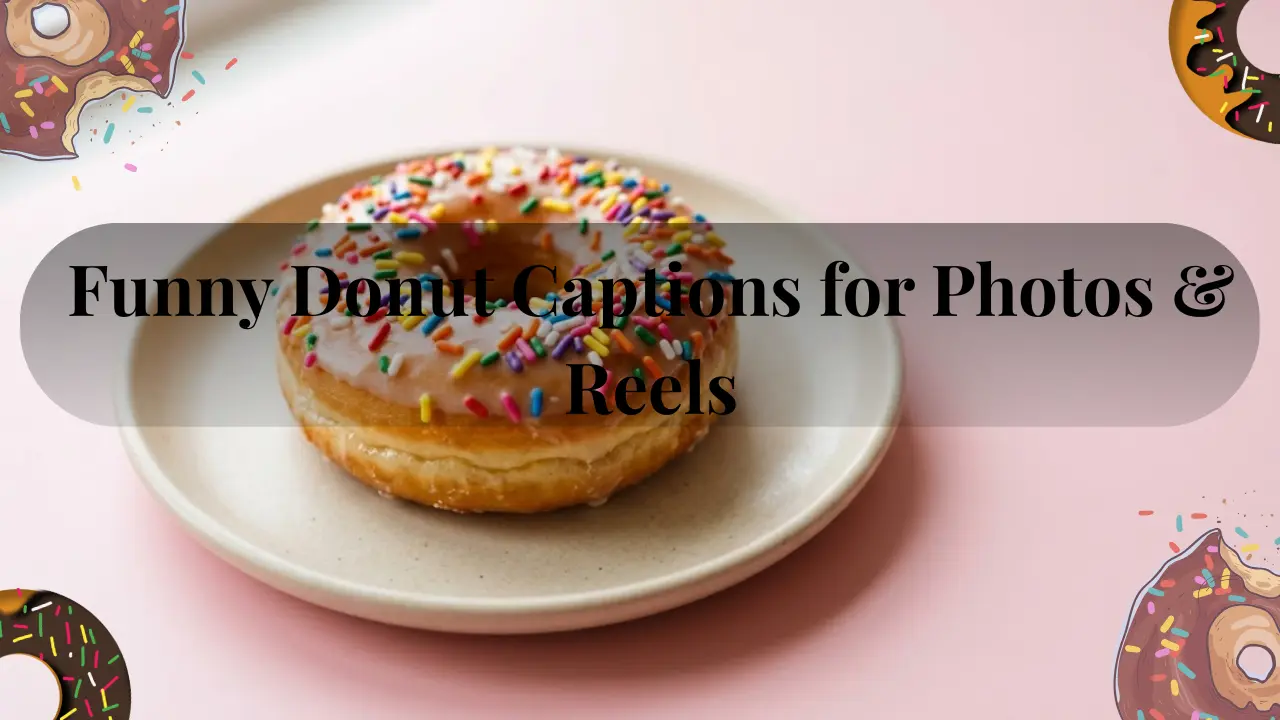 Funny Donut Captions