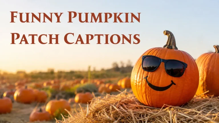 Funny Pumpkin Patch Captions