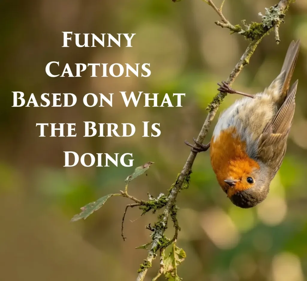 Funny Captions Based on What the Bird Is Doing