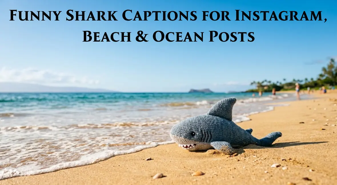 Funny Shark Captions
